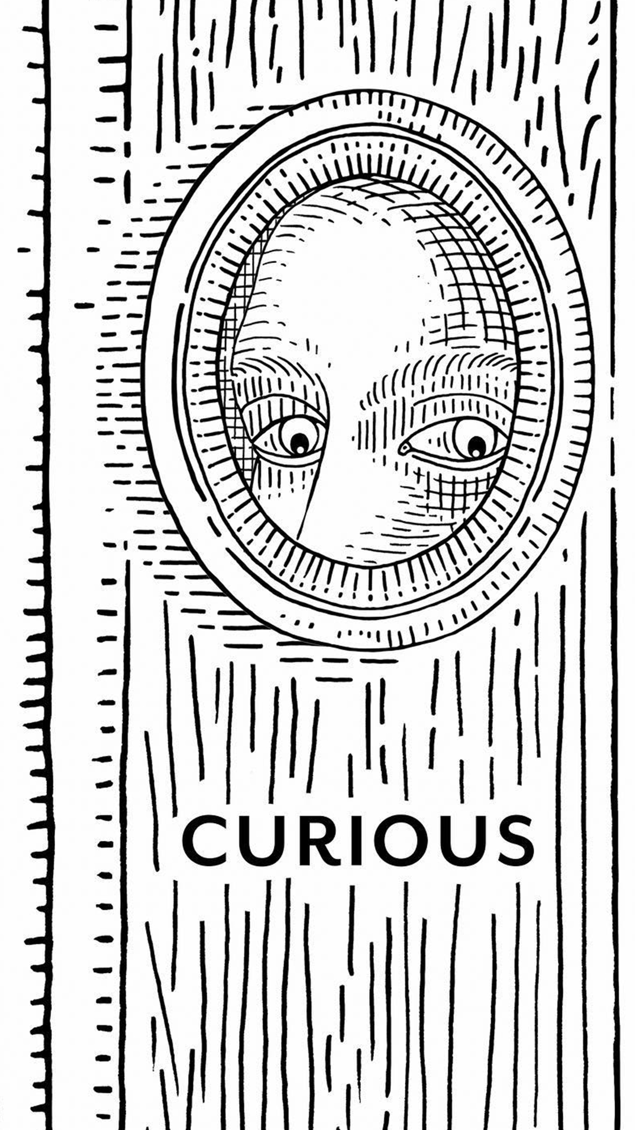 Composición de Autor - Doyrel x Julie Serre - Curious, Colour - Image 4