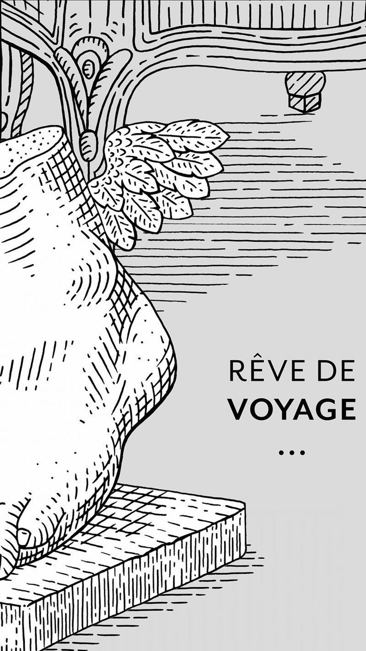 Composición de Autor - Doyrel x Julie Serre - Curious, Colour - Image 7